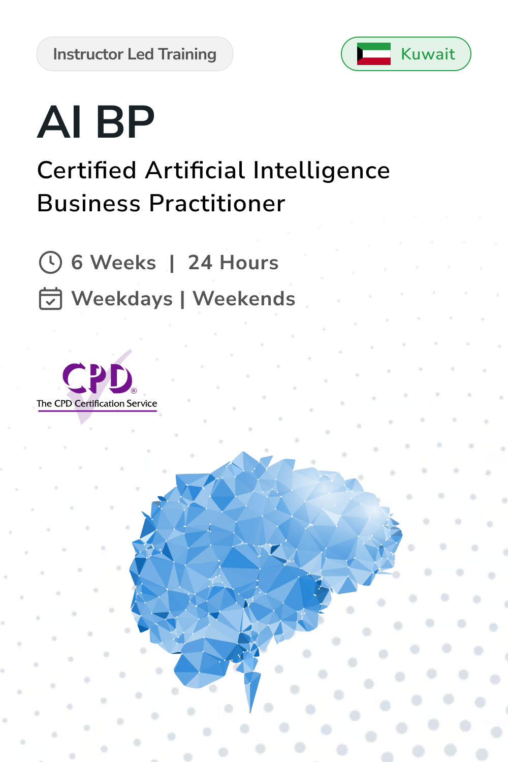 Microsoft Certified Business Practitioner in Kuwait